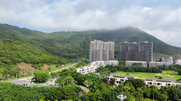 海口第三届“青椰科技节”本周末开启 50余项科学实验等你来体