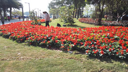 海口第三届“青椰科技节”本周末开启 50余项科学实验等你来体
