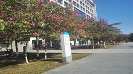 荣耀500系列正式发布：开启全能体验新纪元
