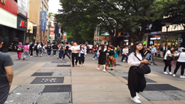 国风音乐剧《心安东坡》深圳连演两场 全国巡演收官